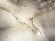 Used Wife Amateur Big Boobs Porn Video