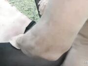 German Mature at Amateur Orgy Sex