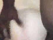 Cuckold Squirting Wives Fuck Bulls BAREBACK