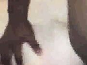 Cuckold Squirting Wives Fuck Bulls BAREBACK