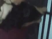 Bbw Cream All Over Bbc Dick And Get Her Ass Ate