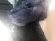 Orgy with my girlfriend and her BBW friend