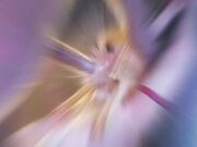 Point of No Return - 3d