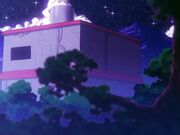 sakura with short guy AP