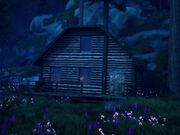 Under The Witch-Herba Alice