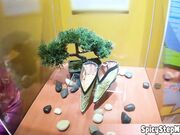 Busty golddigger stepmom visits the fair