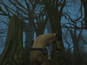 ought by a female predator RP