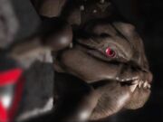 JEDI A NEW HOLE- ANAL RP