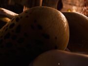 lae-zel-cowgirl-breeding Baldur G