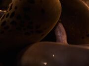 lae-zel-cowgirl-breeding Baldur G