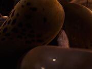 lae-zel-cowgirl-breeding Baldur G