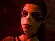 lae-zel-warlord-shmopla baldur G