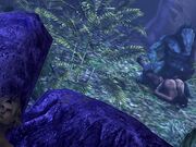 lulu Lady of the Woods part 2