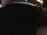 Wife fucks 10in BBC we Meet on XVideos