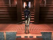 argonian-bathhouse_480p.mp4