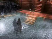 argonian-bathhouse_480p.mp4