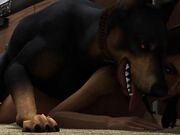 dog-sitting_480p.mp4