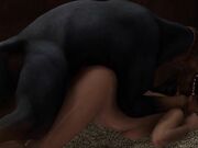 dog-sitting_480p.mp4