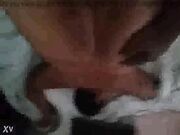 White Wifey has interracial anal BBC Fun