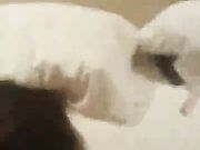 Wife getting fucked hard and creampied