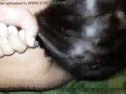 Cuckold watching and recording his wife making sex with BBC