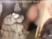 Hubbys Wife Breeds He Films Then Leaves