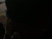 Japanese chick and a BBC doggystyle