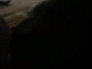 Japanese chick and a BBC doggystyle