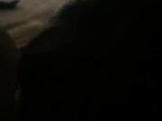 Swinger Blonde MILF Wants A New BBC Man