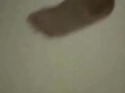 Mature Blonde milf banged out by horny black guy - BBC Video