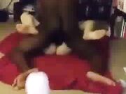 Miami Vacation Black Cock Fuck