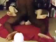 Miami Vacation Black Cock Fuck