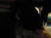 Married Pussy Feels So Good BBC Fuck