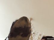 The Mean Girls - Princess Selena - I am Gonna Make It Shine My Shoes