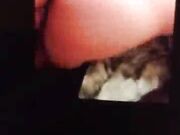 Amazing Hotwife Getting Some BBC While Hubby is Made to Watc