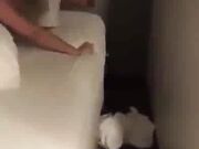 My wife spreads her ass for his BBC