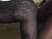 Mature Milf Amateur Wife Fucking BBC For Hubby Cuckold