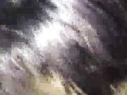 Brunette Hottie Takes BBC Now