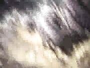 Brunette Hottie Takes BBC Now