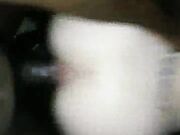 Cuckold Squirting Wives Fuck Bulls BAREBACK