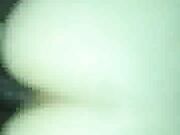 Black Stallion Makes Her Pussy Squirt - Homemade