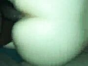 Black Stallion Makes Her Pussy Squirt - Homemade