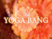 HARDWERK Yoga bang with Ana B