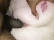 Black Stallion Makes Her Pussy Squirt - Homemade