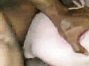 Black Stallion Makes Her Pussy Squirt - Homemade