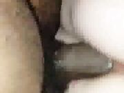 Black Stallion Makes Her Pussy Squirt - Homemade