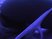 Petite 18-year-old brunette babe teases on webcam