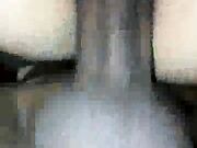 Sexy wife in pigtails sucking bbc