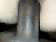 Sexy wife in pigtails sucking bbc