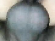 Sexy wife in pigtails sucking bbc